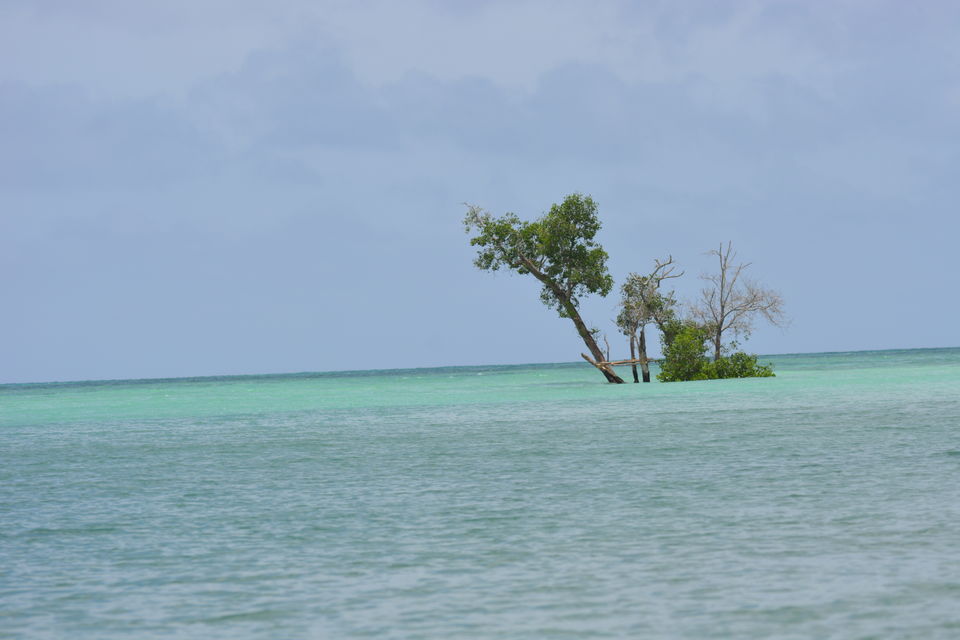 Photo of Beautiful Havelock & its Pristine Beaches by Bharat Parida
