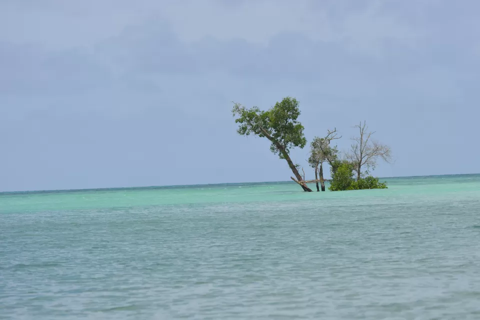 Photo of Vijay Nagar Beach, South Andaman, Andaman and Nicobar Islands, India by Bharat Parida