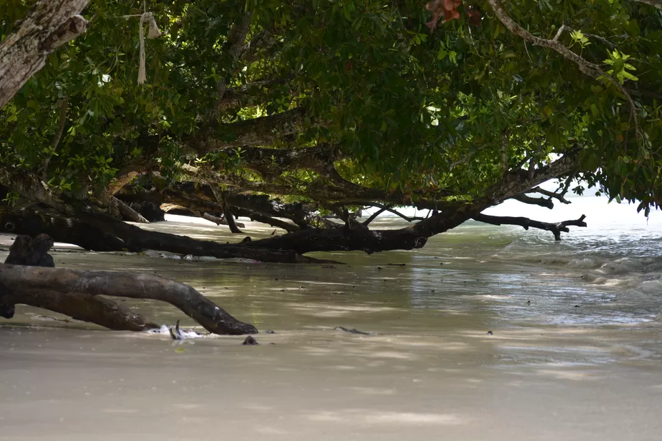 Photo of Vijay Nagar Beach, South Andaman, Andaman and Nicobar Islands, India by Bharat Parida
