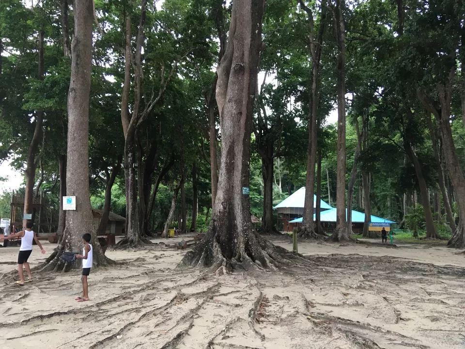 Photo of Radhanagar Beach, Andaman and Nicobar Islands, India by Bharat Parida