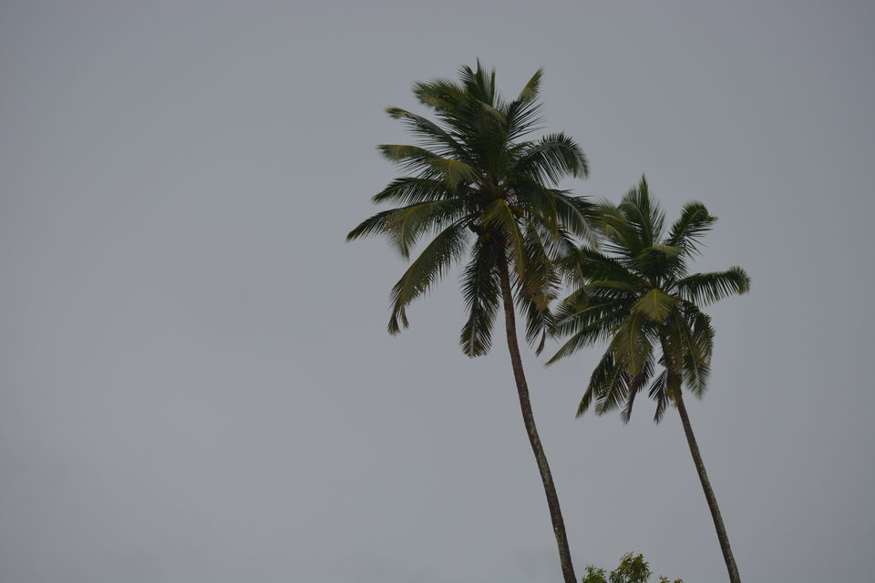 Photo of Corbyns Cove Beach, South Andaman, Andaman and Nicobar Islands, India by Bharat Parida