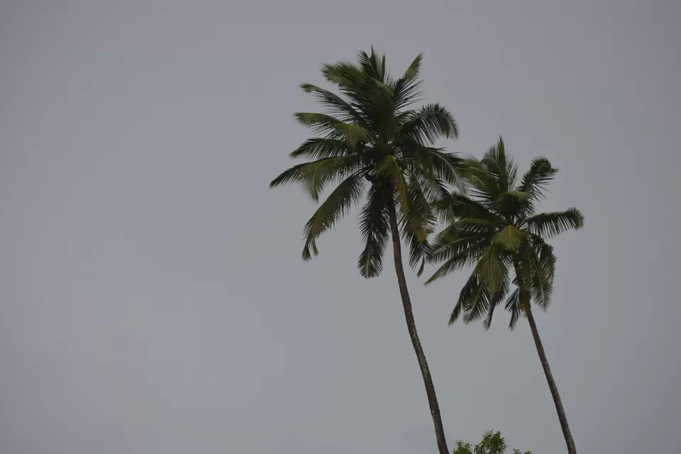 Photo of Corbyns Cove Beach, South Andaman, Andaman and Nicobar Islands, India by Bharat Parida