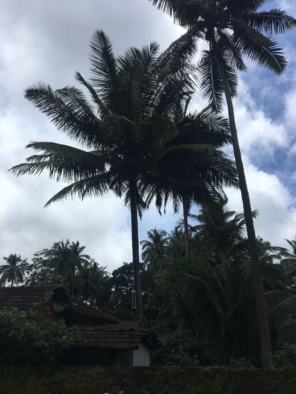 Photo of Away from the Shor at the Shore | Gokarna, Karnataka, India by Nikhita Biswas