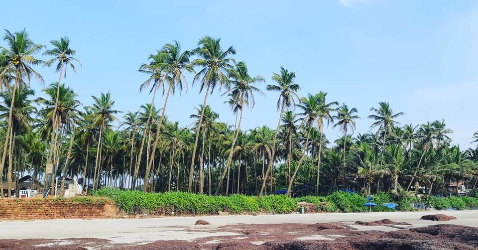 Photo of North Goa, India | Turn on your beach mode by Nikhita Biswas