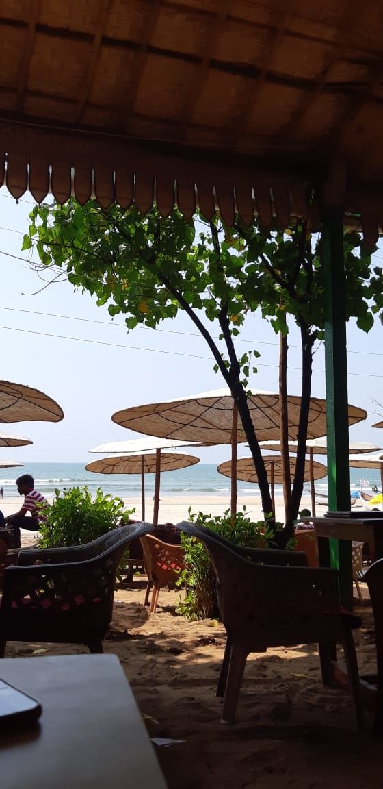 Photo of Arambol Beach, Arambol, Goa by Nikhita Biswas