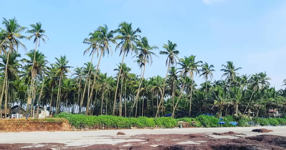 Photo of Ashwem Beach, Mandrem, Goa by Nikhita Biswas