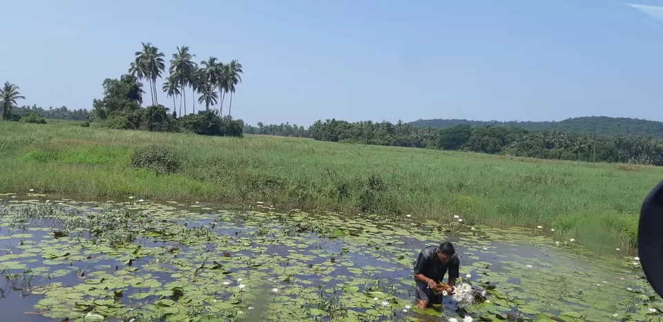 Photo of Arambol, Goa, India by Nikhita Biswas