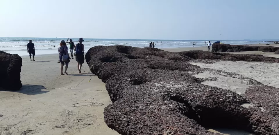 Photo of Ashwem Beach, Mandrem, Goa by Nikhita Biswas