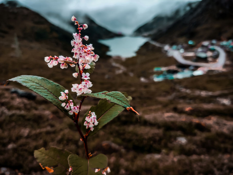 Photo of Sikkim, India by Explore_with_Mohini