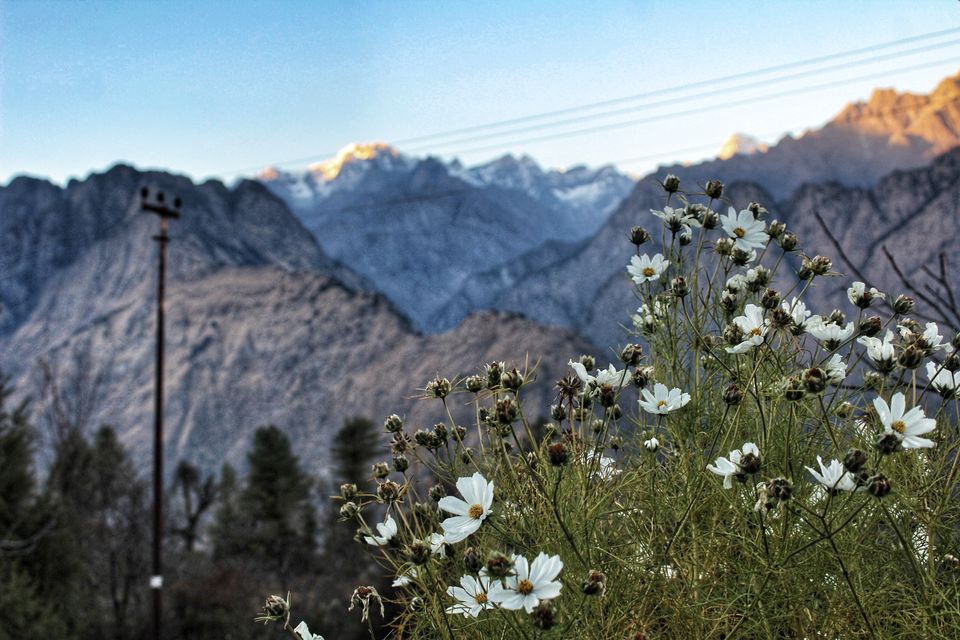 Photo of Uttarakhand, India by Explore_with_Mohini
