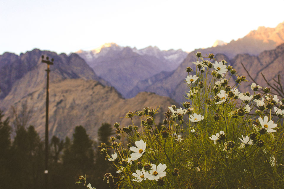 Photo of Auli Laga Joshimath, Uttarakhand, India by Explore_with_Mohini