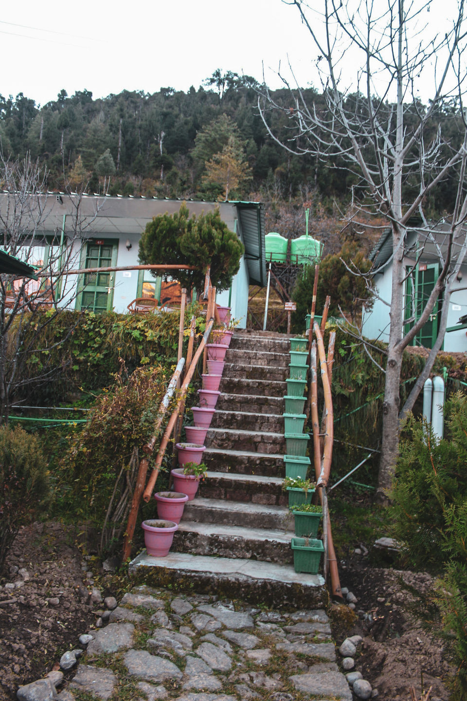 Photo of This isolated stay in AULI will blow your mind. by Explore_with_Mohini
