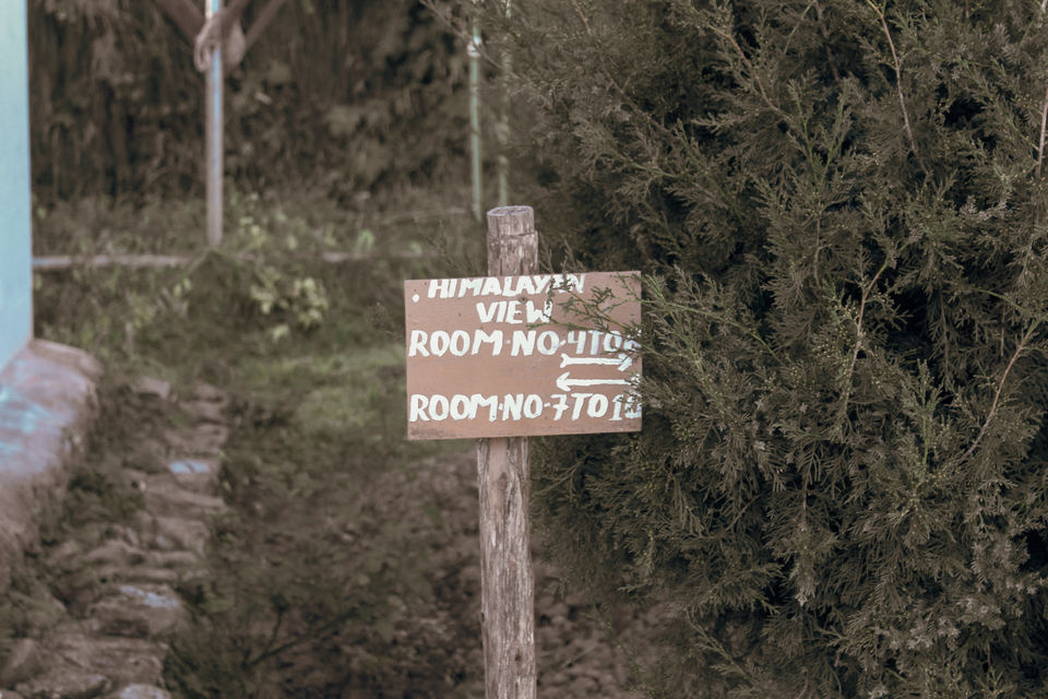 Photo of This isolated stay in AULI will blow your mind. by Explore_with_Mohini