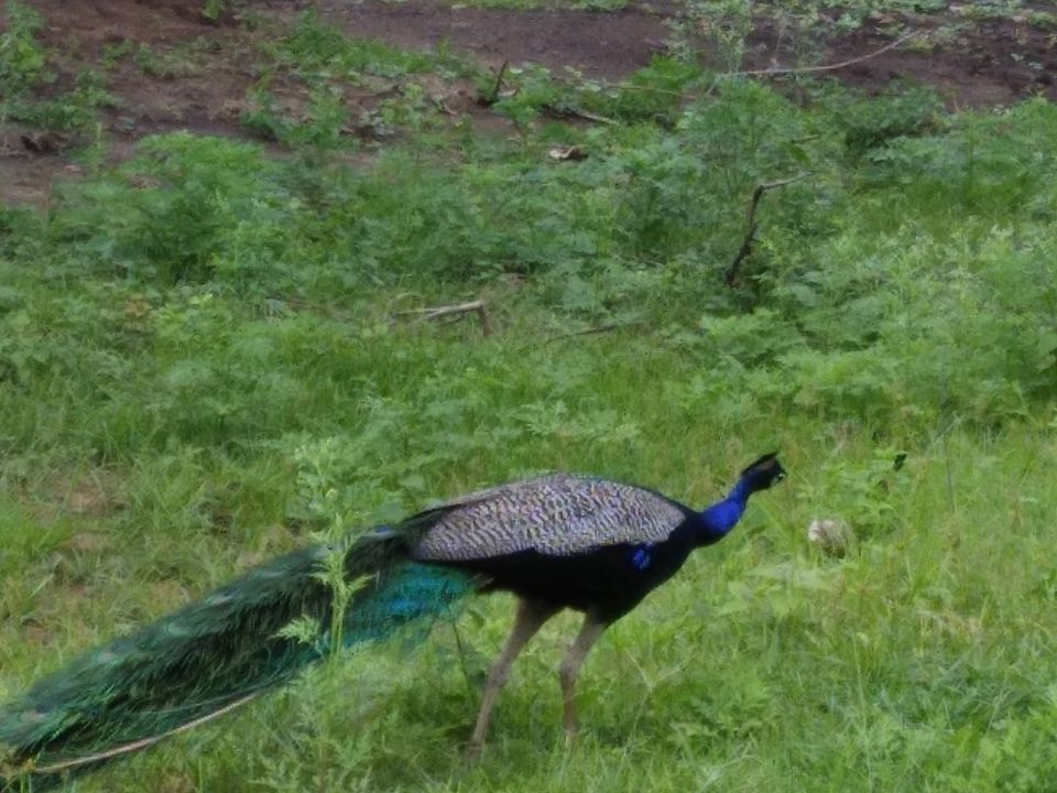 Photo of Ooty And Coonoor Trip 3/13 by Bharath Blake