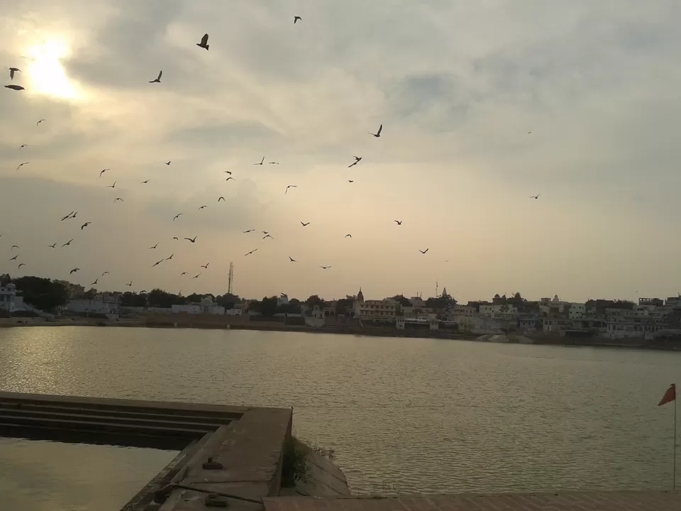 Photo of Pushkar Lake, Pushkar, Rajasthan, India by Ridhima Shukla