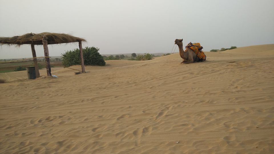 Photo of To the golden city, Jaisalmer 3/3 by Ridhima Shukla