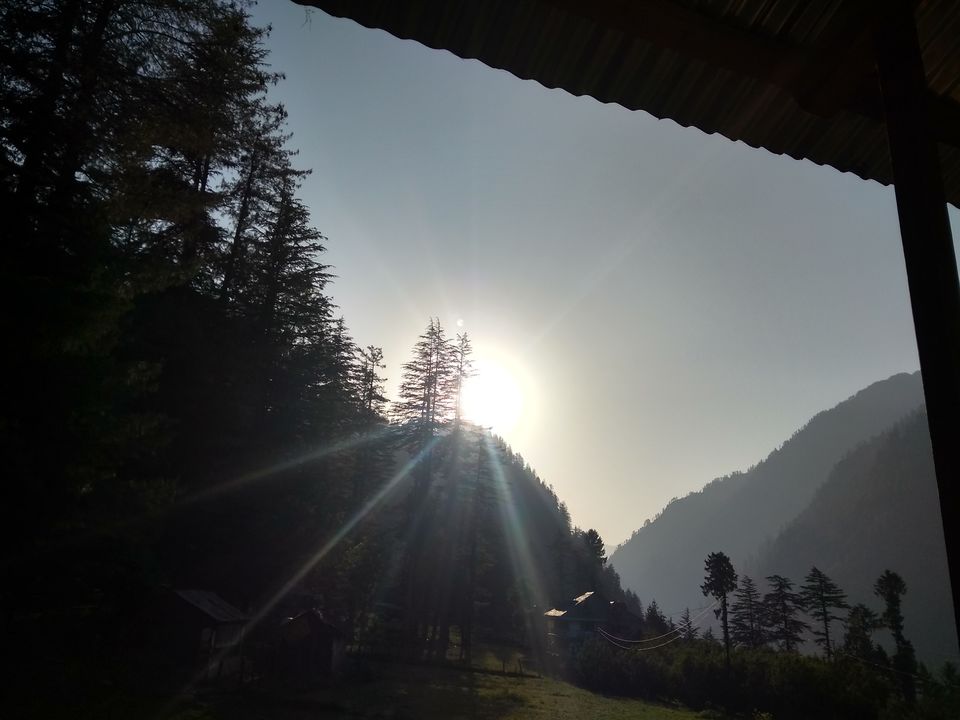 Photo of The 'Fairy Forest' In Himachal's Pulga 3/16 by Ridhima Shukla