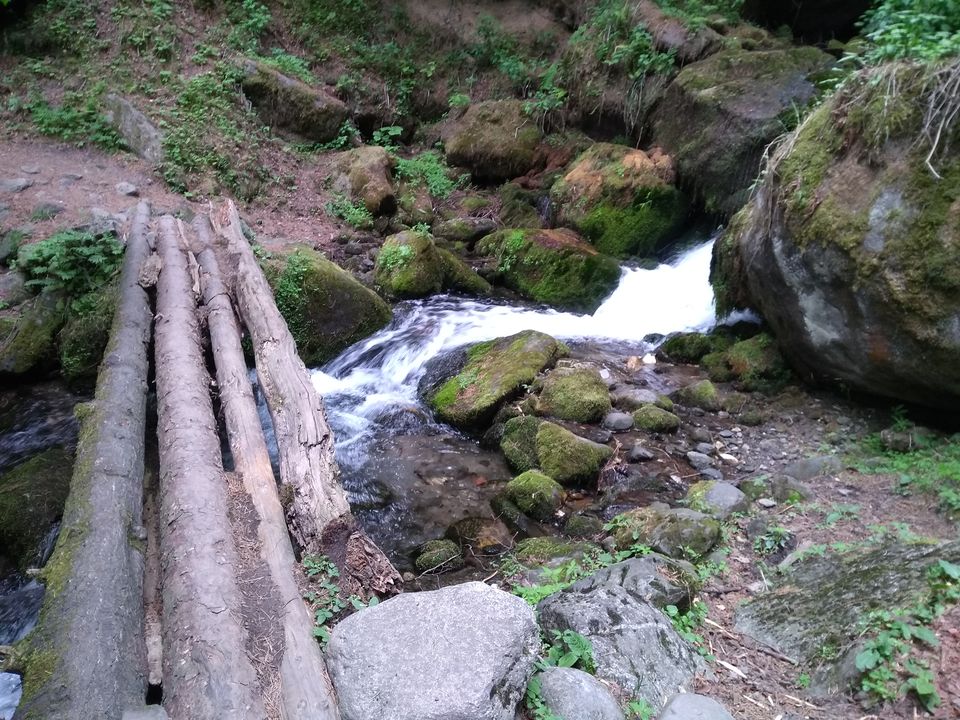 Photo of The 'Fairy Forest' In Himachal's Pulga 4/16 by Ridhima Shukla