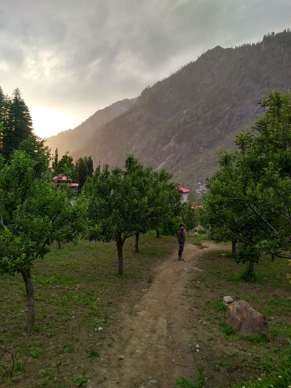 Photo of The 'Fairy Forest' In Himachal's Pulga 10/16 by Ridhima Shukla