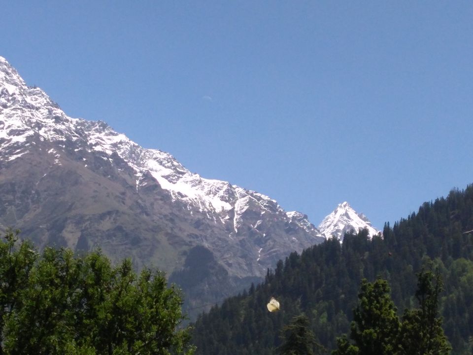 Photo of The 'Fairy Forest' In Himachal's Pulga by Ridhima Shukla