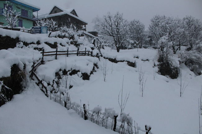 Photo of Kasol & Tosh: Winter is here by Ridhima Shukla