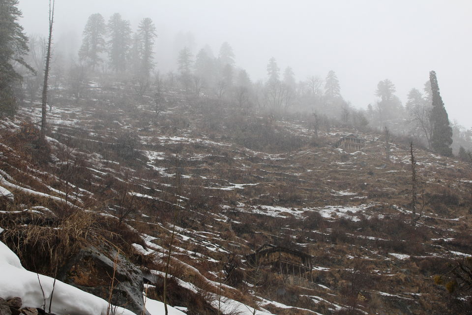 Photo of Kasol & Tosh: Winter is here 8/29 by Ridhima Shukla