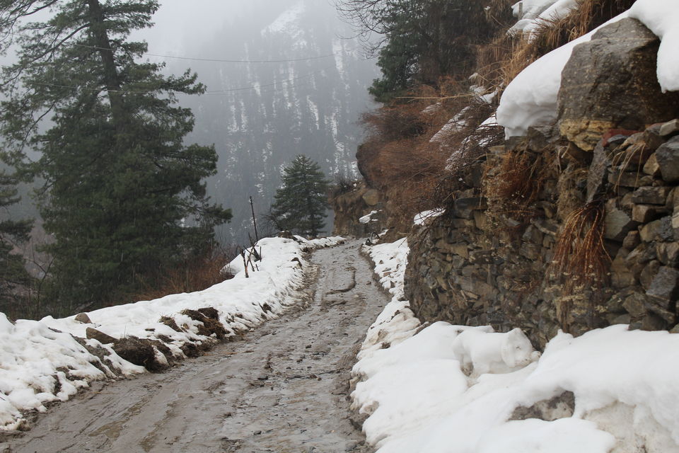 Tosh and Kasol in December: A Winter Itinerary - Tripoto