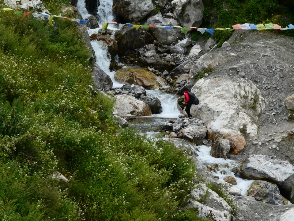 Photo of Langtang National Park, Bagmati, Central Development Region, Nepal by Patrizia Cotza