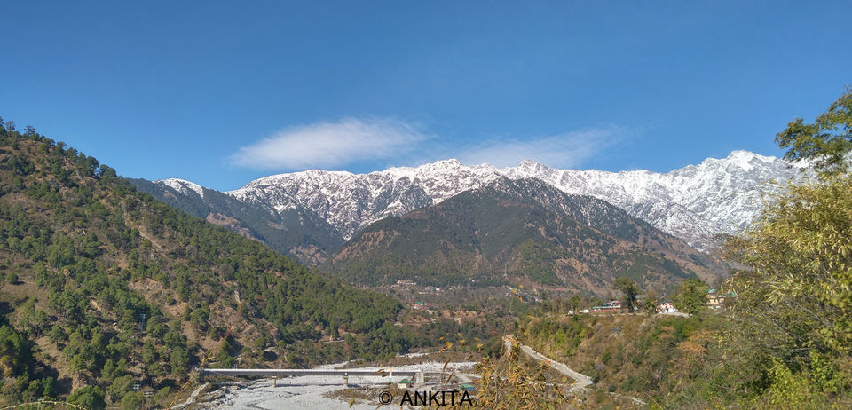 Photo of Lesser traveled Tea Estate, a chasm to hike by and snow capped mountains!! #offbeatgetaway by Ankita Saxena