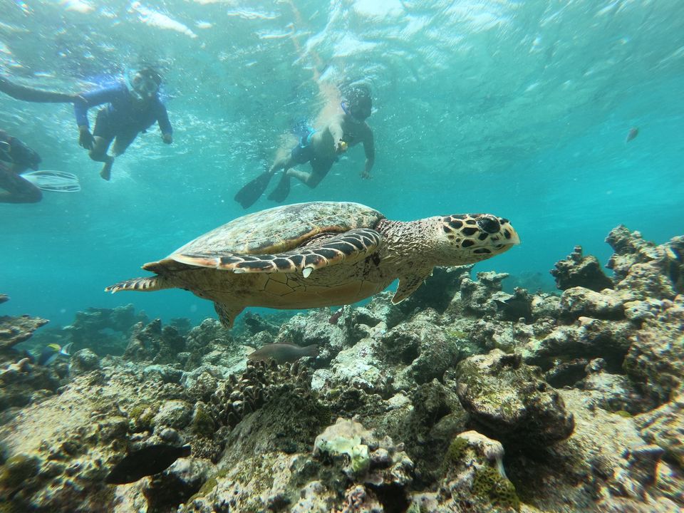 Photo of Maldive Islands, Maldives by Sanket Patel
