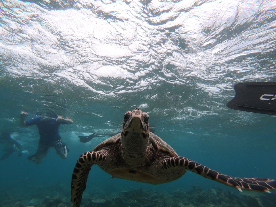 Photo of Maldive Islands, Maldives by Sanket Patel