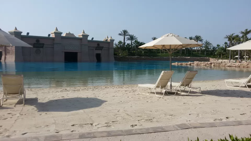 Photo of Dolphin Bay - The Palm Jumeirah - Dubai - United Arab Emirates by Shaili Gupta