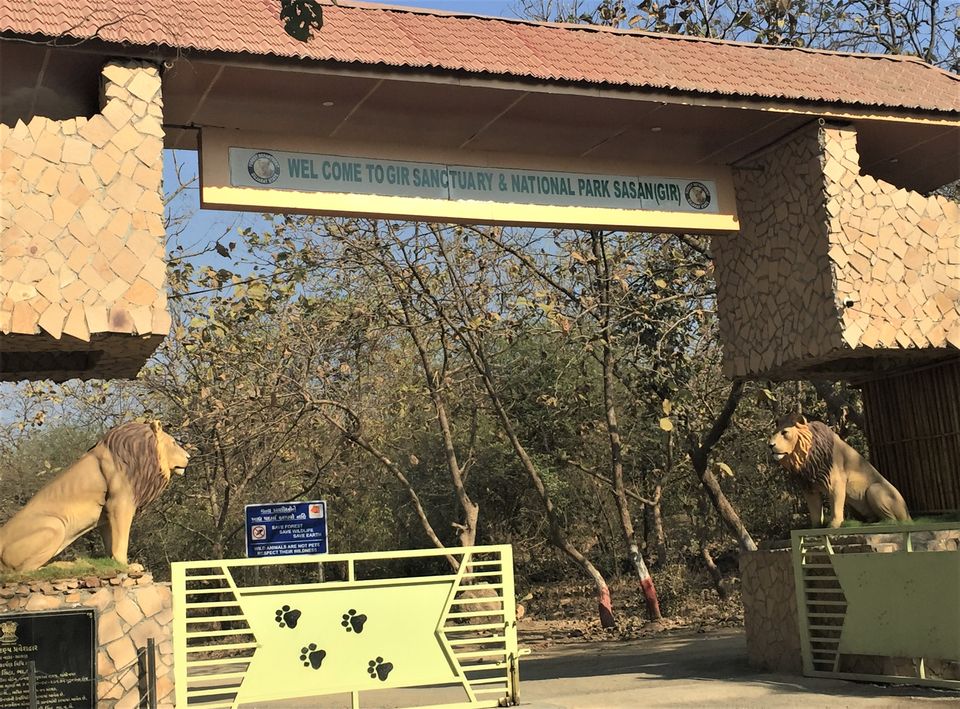 Photo of Gir National Park, Gujarat, India by Shaili Gupta