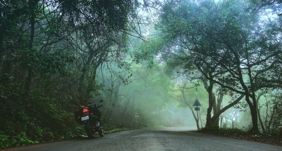 Photo of Tamhini ghat view point, Pune, Maharashtra, India by Noopur Gaikwad