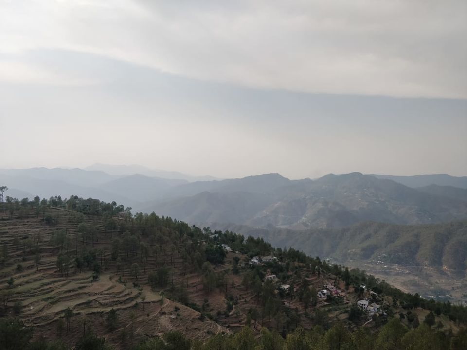 Photo of Finding peace in the woods of Almora/Binsar!! by Varuna Maurya