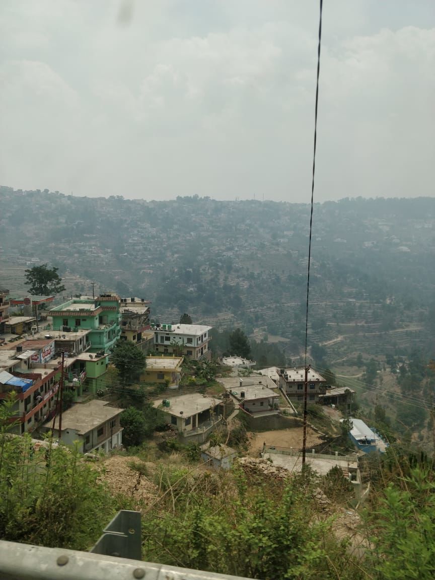 Photo of Finding peace in the woods of Almora/Binsar!! 4/21 by Varuna Maurya