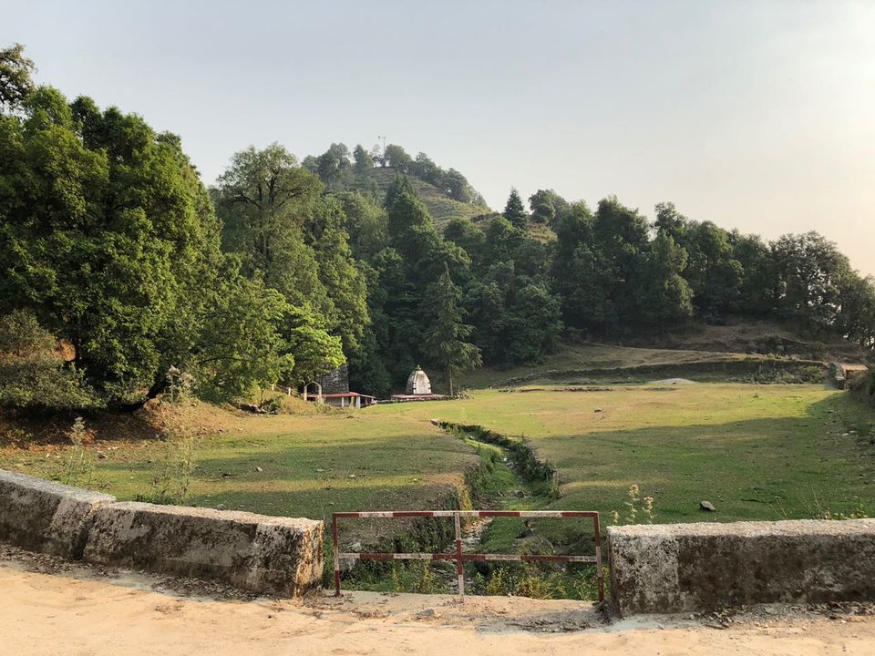 Photo of Finding peace in the woods of Almora/Binsar!! 17/21 by Varuna Maurya