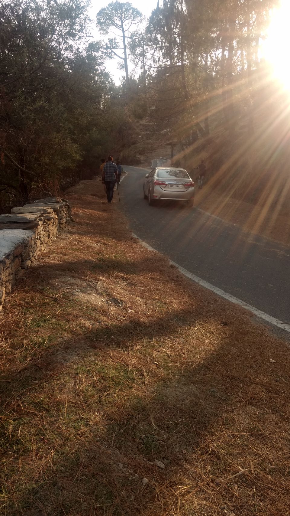 Photo of Finding peace in the woods of Almora/Binsar!! 1/21 by Varuna Maurya