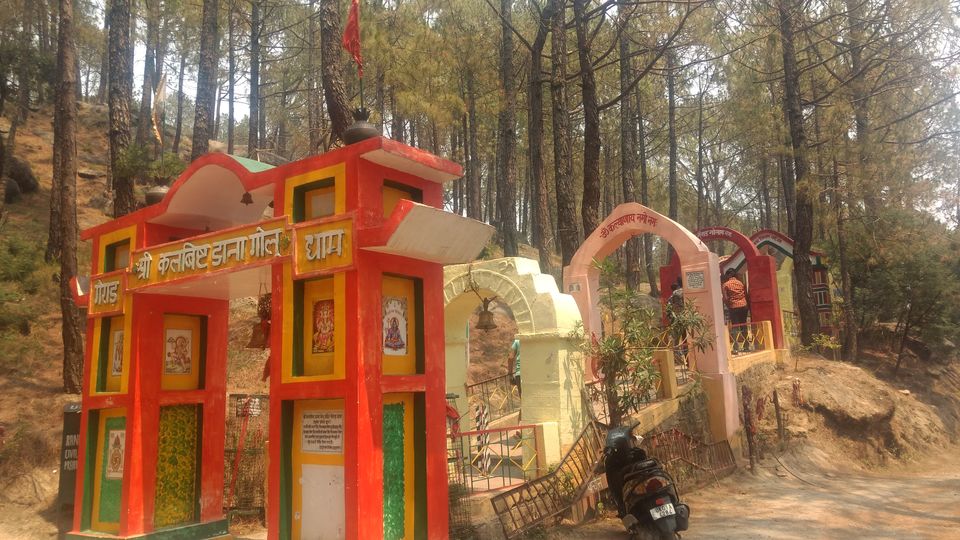 Photo of Finding peace in the woods of Almora/Binsar!! 3/21 by Varuna Maurya