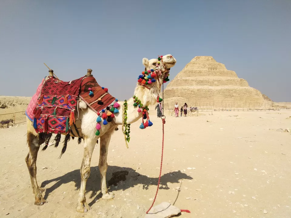 Photo of Cairo, Egypt by Wanderlust Gobblemust