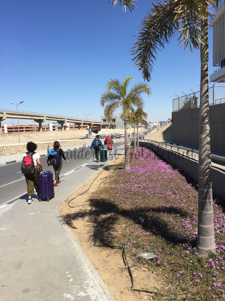 Photo of 48 hours in Cairo, Egypt - Things to do! 1/2 by Wanderlust Gobblemust