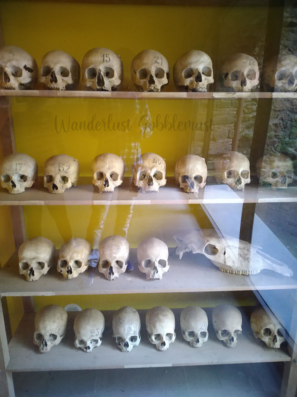 Photo of Don't miss out on a day trip to Naples and Pompeii from Rome! 31/39 by Wanderlust Gobblemust