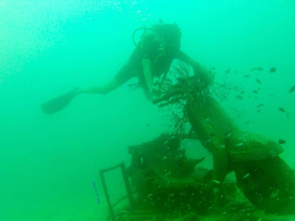 Photo of What diving in the Andamans taught me about Responsible Travel? by Shweta