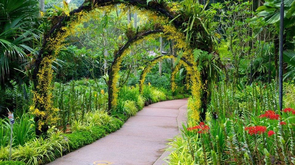 Photo of Making the Most of 48 Hours in Singapore 1/6 by Anson Joseph