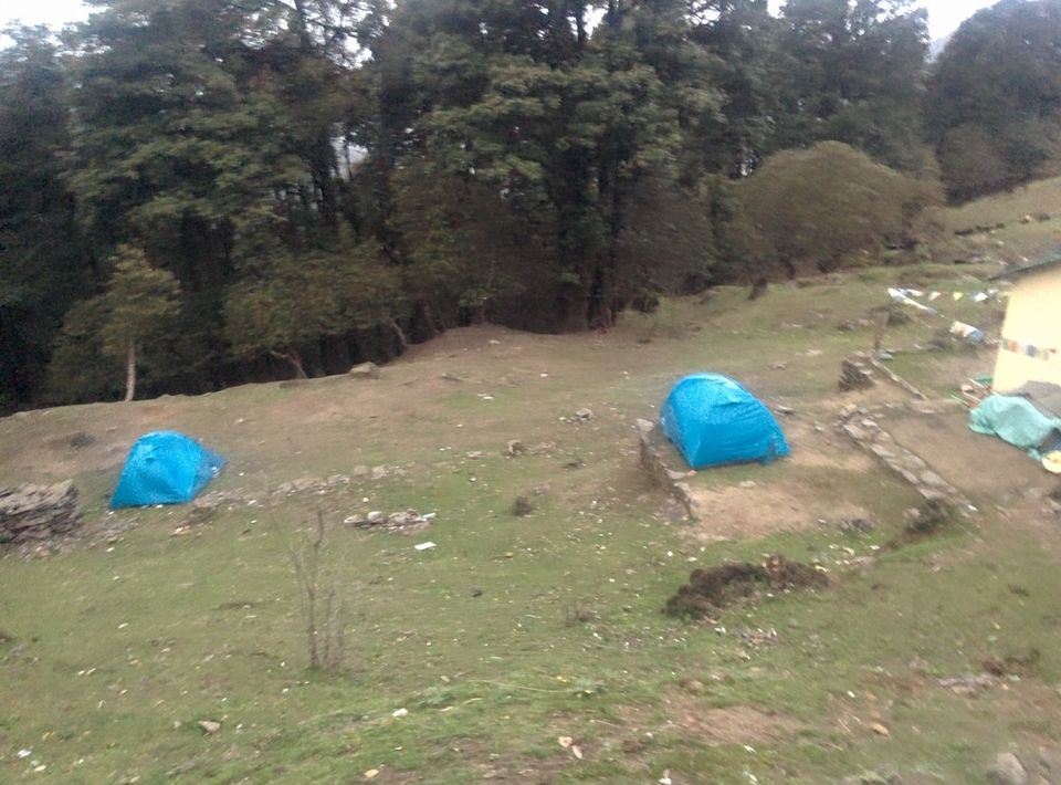 Photo of Chopta/Tungnath Temple(World's Highest Shiva Temple)/Chandrishilla Trek/ 4000 Mtr/Camping/Sanctuary by Pavit Dhar