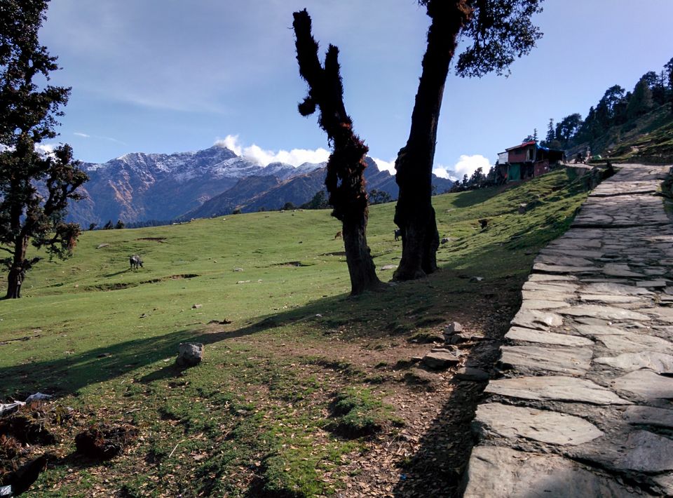 Photo of Chopta/Tungnath Temple(World's Highest Shiva Temple)/Chandrishilla Trek/ 4000 Mtr/Camping/Sanctuary by Pavit Dhar