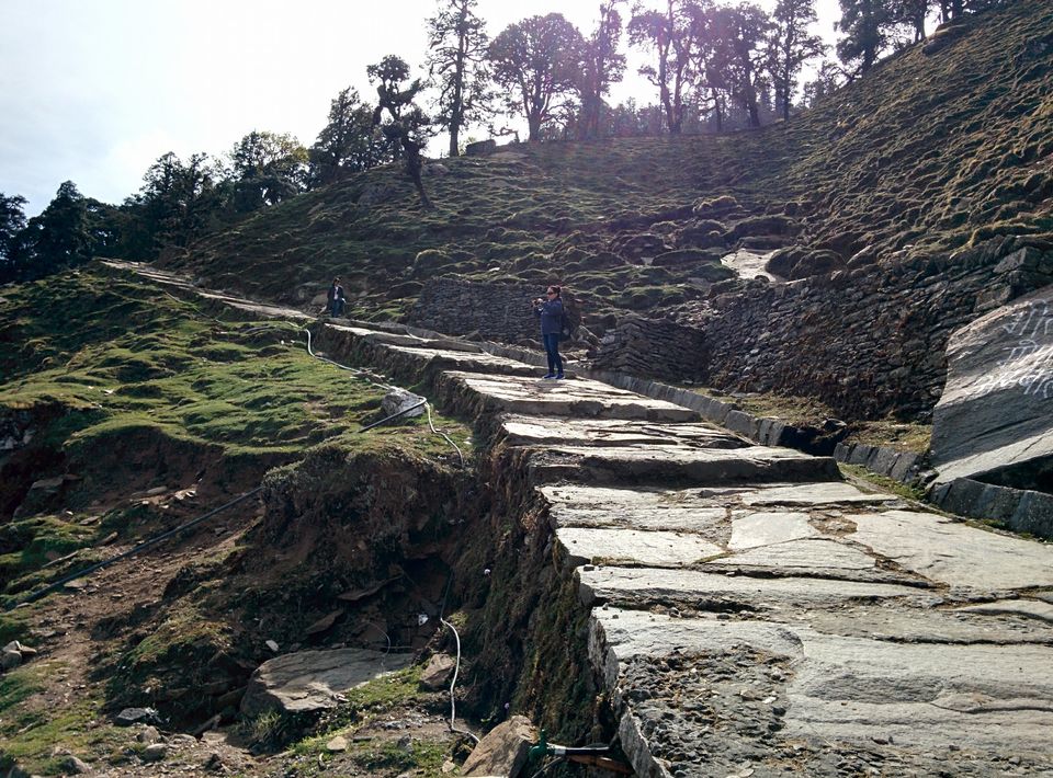 Photo of Chopta/Tungnath Temple(World's Highest Shiva Temple)/Chandrishilla Trek/ 4000 Mtr/Camping/Sanctuary by Pavit Dhar