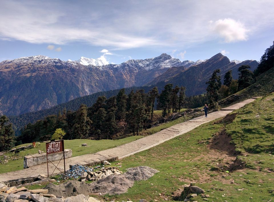 Photo of Chopta/Tungnath Temple(World's Highest Shiva Temple)/Chandrishilla Trek/ 4000 Mtr/Camping/Sanctuary by Pavit Dhar