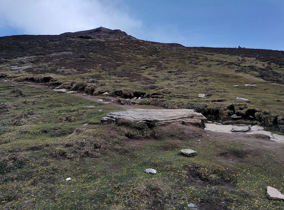 Photo of Chopta/Tungnath Temple(World's Highest Shiva Temple)/Chandrishilla Trek/ 4000 Mtr/Camping/Sanctuary by Pavit Dhar