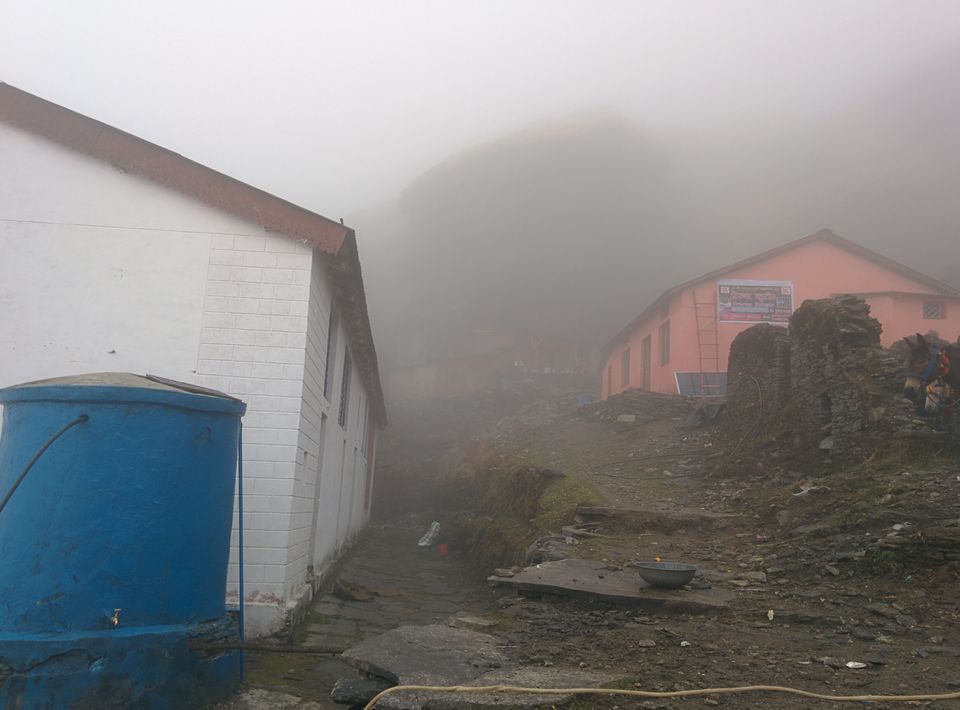 Photo of Chopta/Tungnath Temple(World's Highest Shiva Temple)/Chandrishilla Trek/ 4000 Mtr/Camping/Sanctuary by Pavit Dhar